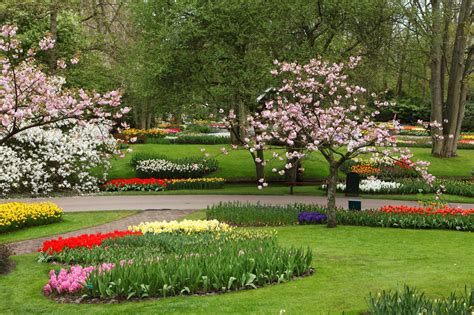 Flower Garden Free Stock Photo - Public Domain Pictures
