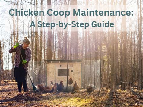 Chicken Coop Maintenance - A Step-by-Step Guide
