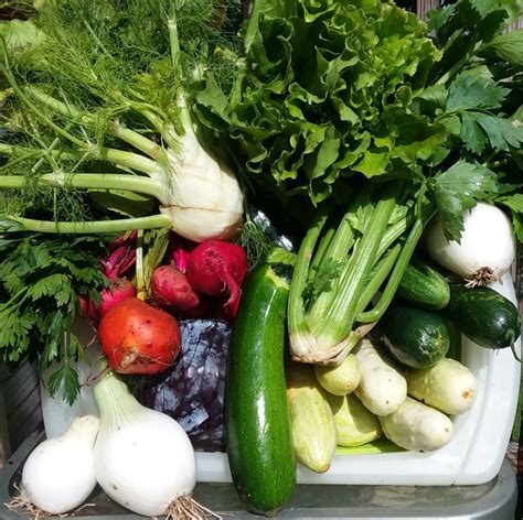 CSAs Regularly Supply You with Farm Fresh Food - An All Around Win ...