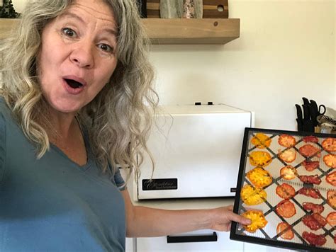 The Best Dehydrator For Herbs: Take Your Culinary Experiences To The ...