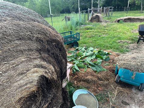 Making Our Own FAST Compost Pile | The Survival Gardener