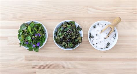 Herbs Fresh Dried - Free photo on Pixabay