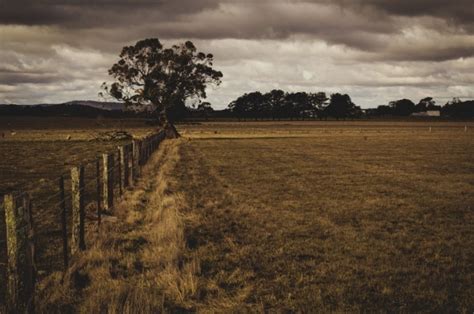 4 Ways to Keep Your Farm Efficient and Cost Effective | OpsBlog