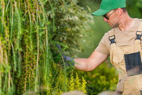 Professional Gardener Performing Plant Inspection 24633862 Stock Photo ...