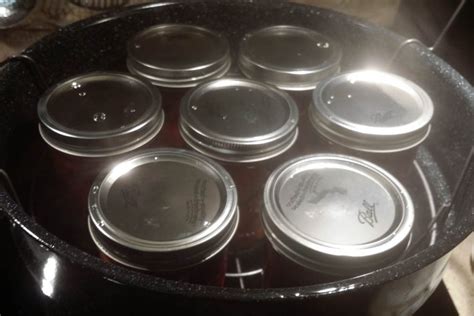 Waterbath Canning: Everything You Need to Know - Bramble Wine Cottage