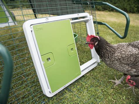 Are automatic chicken coop doors predator resistant? - Omlet Blog Australia