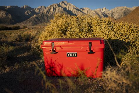 The Best Coolers of 2025 | GearJunkie Tested