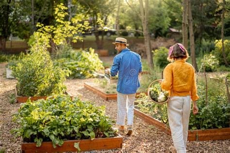 Farmers with Freshly Picked Vegetables at Garden Stock Image - Image of ...