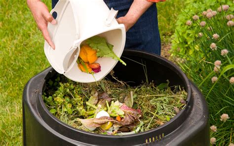 Applying Ecological Design: Residential Composting | asla.org