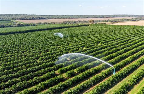 Top 6 strategies to fortify large farm management and magnify ...