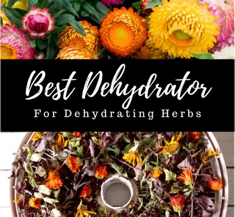 Drying garden herbs effectively without a dehydrator for winter use?