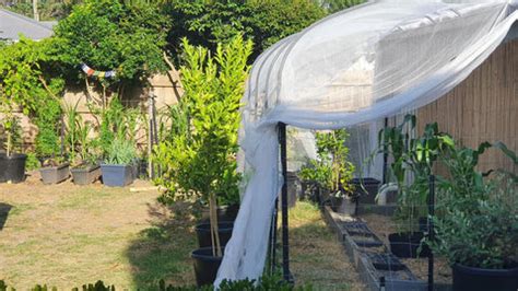 What is Organic Farming? &amp; Why its essential for a thriving ecosystem ...