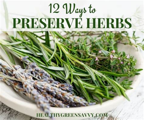 What are the easiest, no-special-equipment ways to preserve garden herbs?