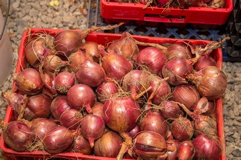 How to make DIY root cellar storage | Hello Homestead