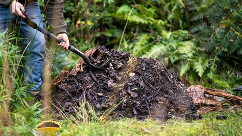 How Hot Should My Compost Pile Be?