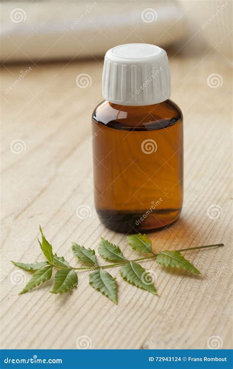 Bottle with Neem oil stock photo. Image of neem, healing - 72943124