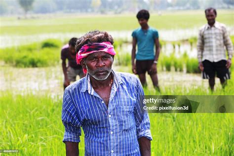 Farmer Working In The Field High-Res Stock Photo - Getty Images