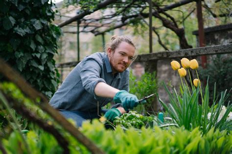 6 Easy Steps to Get Started as a Beginner Gardener | Blog | Melnor ...