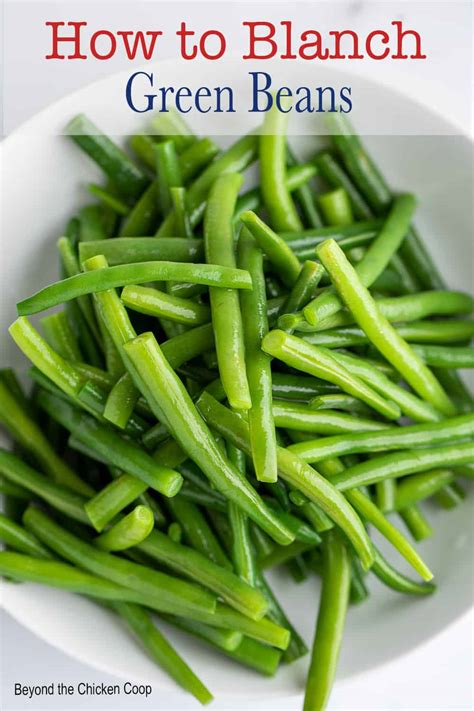 Blanching Green Beans - Beyond The Chicken Coop