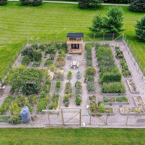 Building a Root Cellar: A Practical Guide for Storing Your Harvest ...