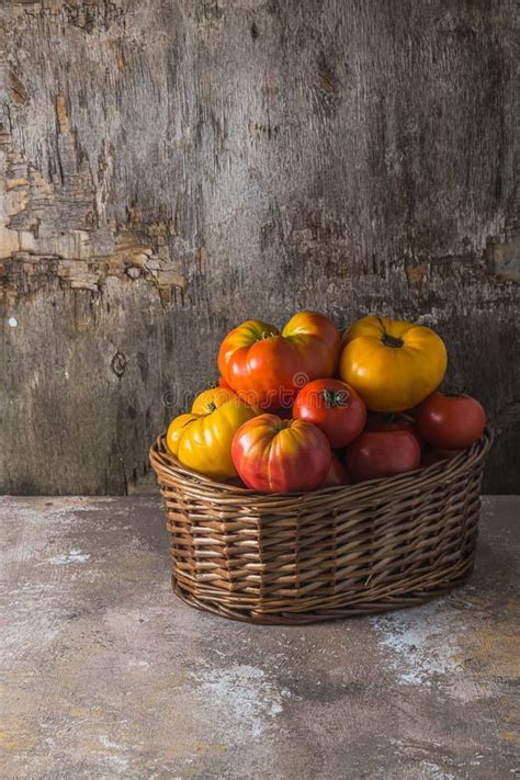 Ripe heirloom tomatoes stock image. Image of shot, variety - 9519387