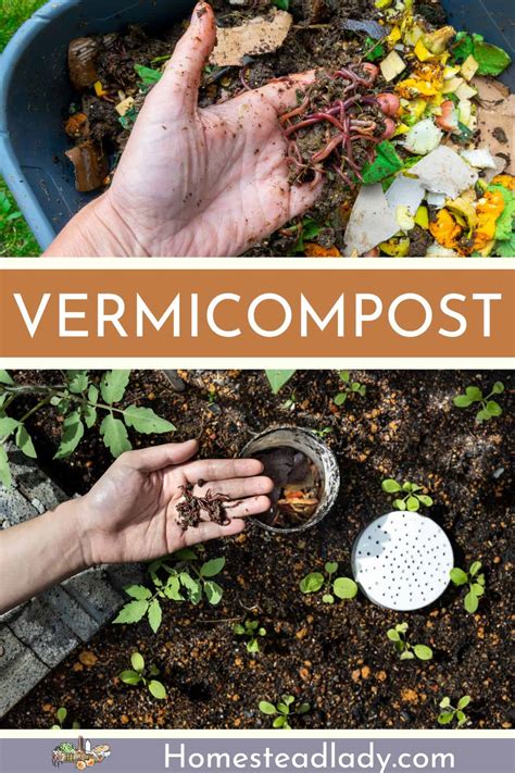 How to naturally amend clay soil for a productive country garden & better real food yield?