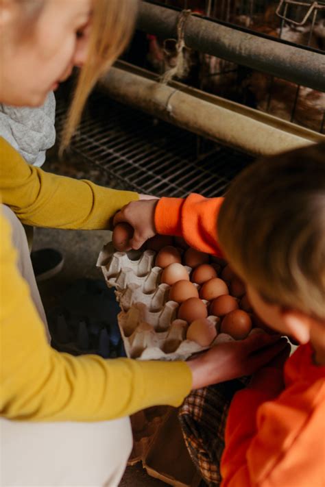 215 Homesteading Skills to Learn for the Modern Homestead - The ...