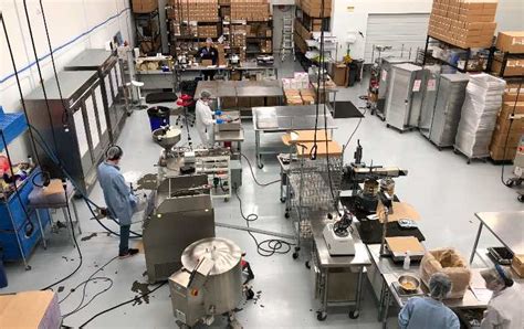 Batch cooking seasonal garden vegetables for real food meals?