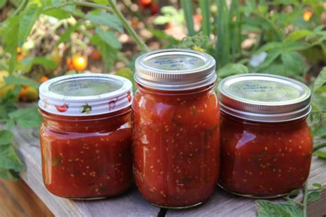 How to safely preserve excess garden tomatoes without a pressure canner?