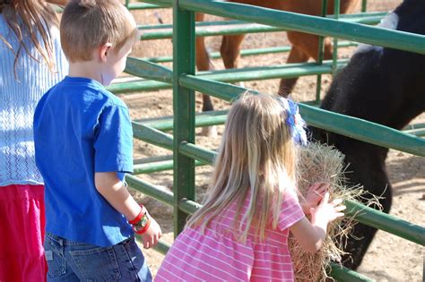 Playing Farm - In Real Life - Heather Haupt