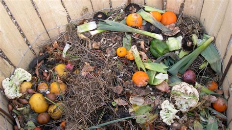 Are you composting your tea bags? | Garden Organic
