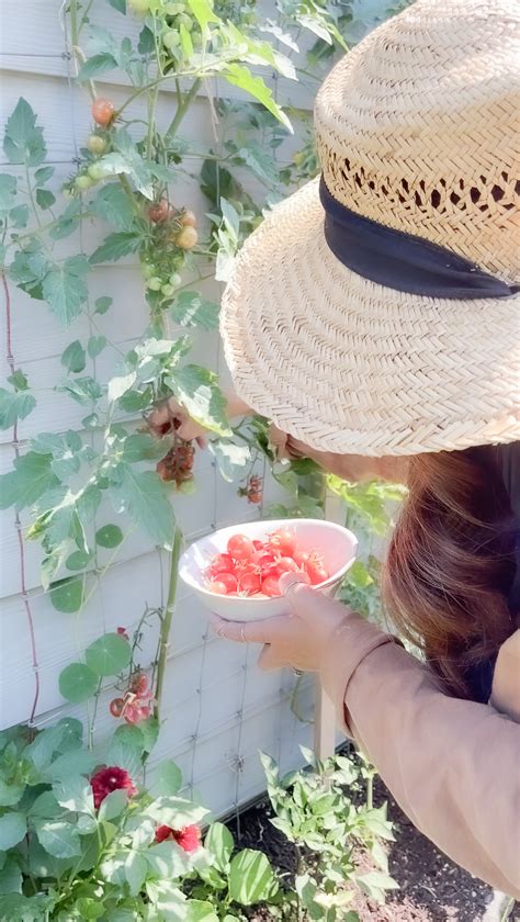 Freezing Vegetables From Garden | EASY FOOD PRESERVATION - CocoonRaw