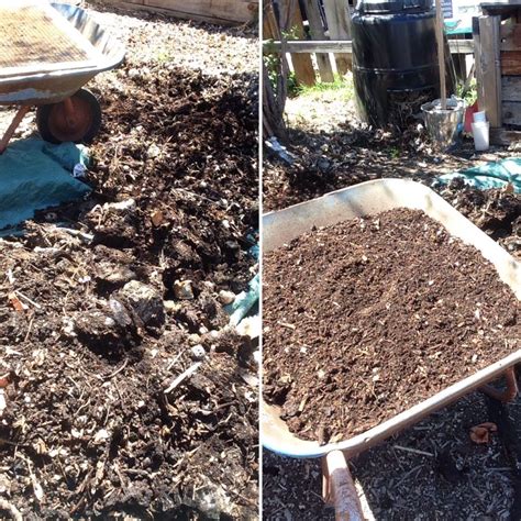 Processing Your Compost for a Finished Product | The Environmental Center