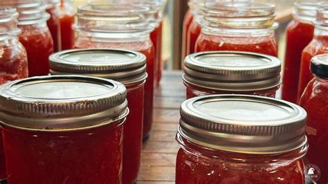 The Best Homemade Strawberry Freezer Jam Recipe – Hill River Homestead