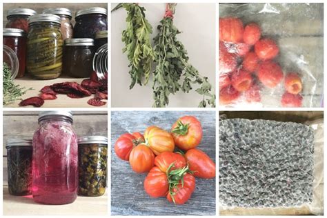 How to preserve a big garden harvest for real food recipes all winter?