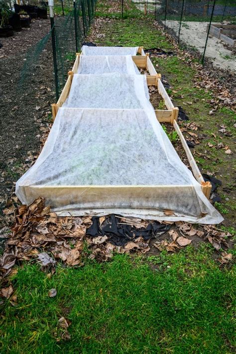 Winterized Kitchen Garden, Raised Planting Bed Covered with White ...