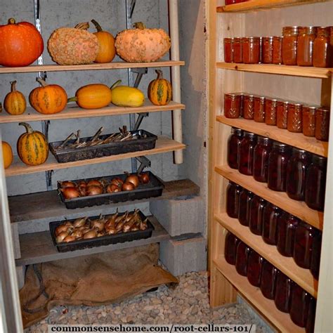 Root Cellar Vegetable Storage Tips &amp; Best Practices