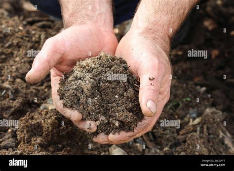 Freshly sifted compost soil to fertilize the garden Stock Photo - Alamy