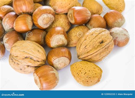 Assortment of dried fruit stock image. Image of healthy - 123952233