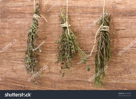 Fresh Dried Herb Bundles Different Herbs Stock Photo 58183861 ...