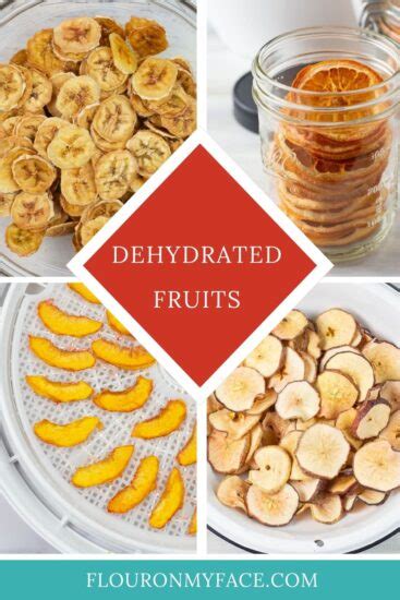 Dehydrated Fruit Recipes - Flour On My Face