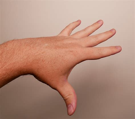 Hand Reference Photos for Artists - Draw Paint Academy