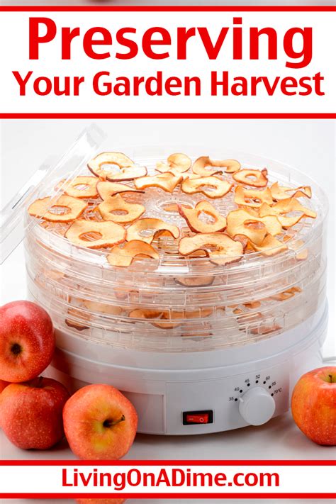 Best traditional, no-electric methods for preserving garden harvest?