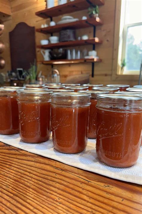 Easy Canned Tomato Sauce (No Peeling Required!) – A Step-by-Step Guide ...