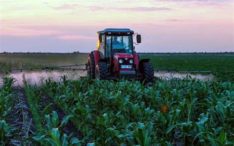 Partial payouts ease growing farmer tensions | Sunday Standard