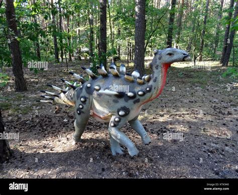 What specific, quick BTS content ideas best show real food/country life authenticity?