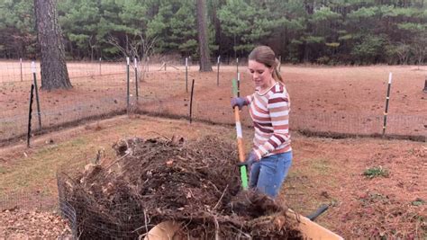 How to Choose Quality Raised Bed Soil + Filling Techniques | The ...