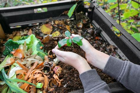 The benefits of composting for the environment