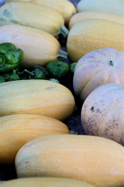 What to do with an Abundance of Produce - Nelson Road Garden