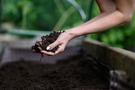 How to Use Compost in Your Garden - Backyard Boss